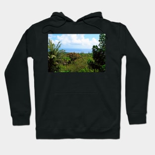 Road to Hana Study 07 Hoodie